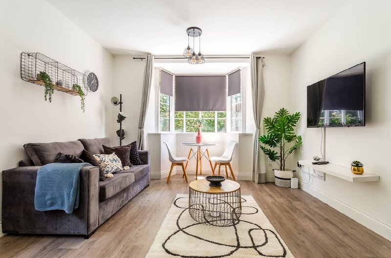 Modern living room with gray sofa, wooden flooring, TV, potted plants and bright bay window