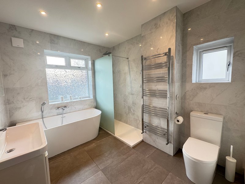 Modern bathroom with freestanding bathtub, walk-in shower, toilet, and heated towel rail