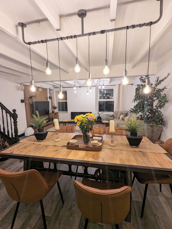 Open-plan dining area with wooden table, pendant lighting, potted plants and modern furnishings