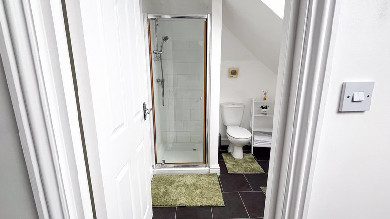 Bathroom with shower enclosure, toilet, and dark tile flooring with green mat
