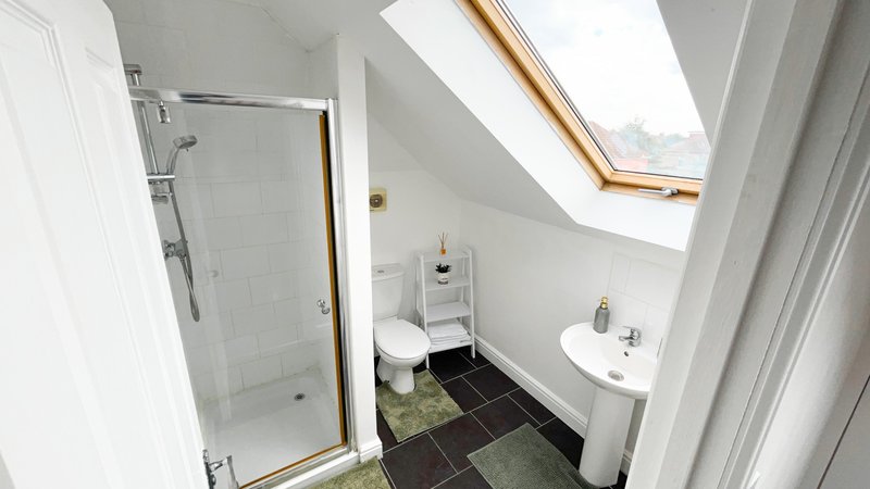 Modern bathroom with walk-in shower, toilet, pedestal sink and skylight window