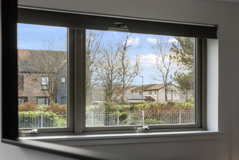 Interior window view overlooking residential street with neighboring houses and bare trees