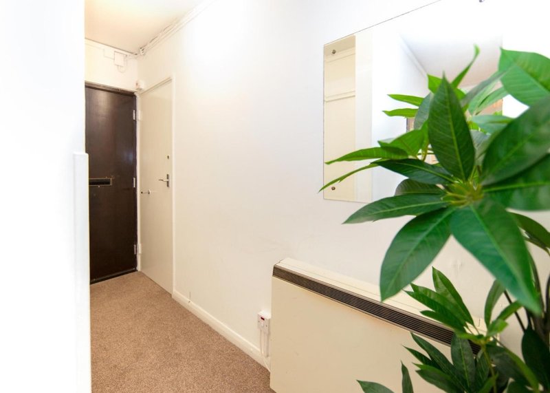 Hallway with brown door, white walls, potted plant, and light carpet flooring