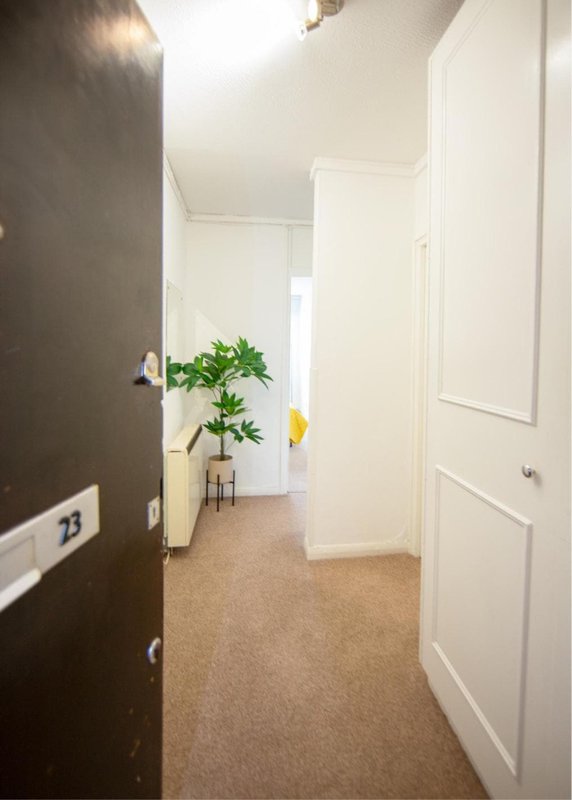 Bright hallway with dark door, white walls, potted plant and carpet flooring