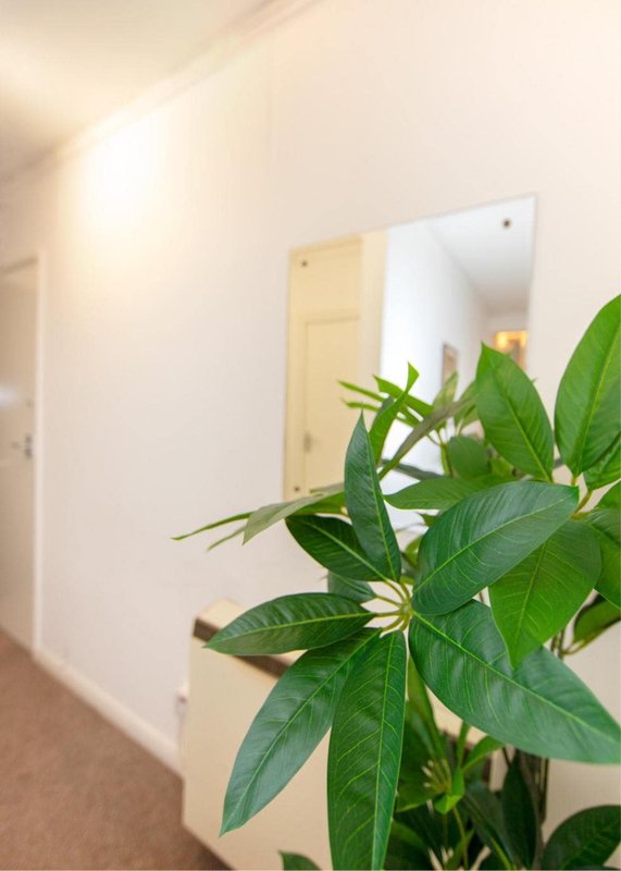 Hallway with white walls, wooden doors, and potted green plant in foreground