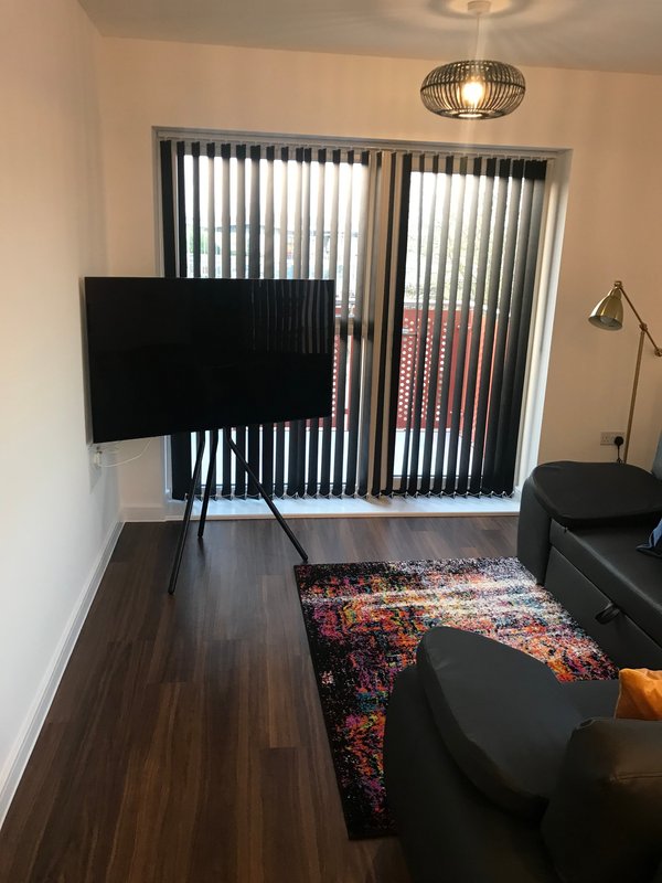 Living room with flat-screen TV, dark wood flooring, patterned rug, and vertical blinds on glass doors