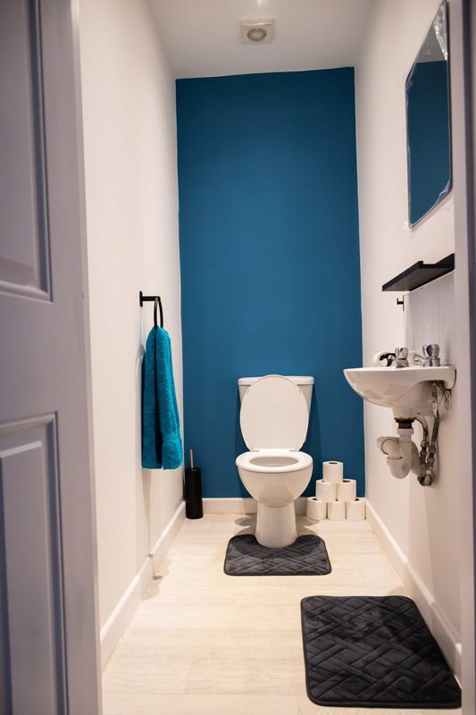 Small bathroom with blue accent wall, toilet, sink, and dark bath mats
