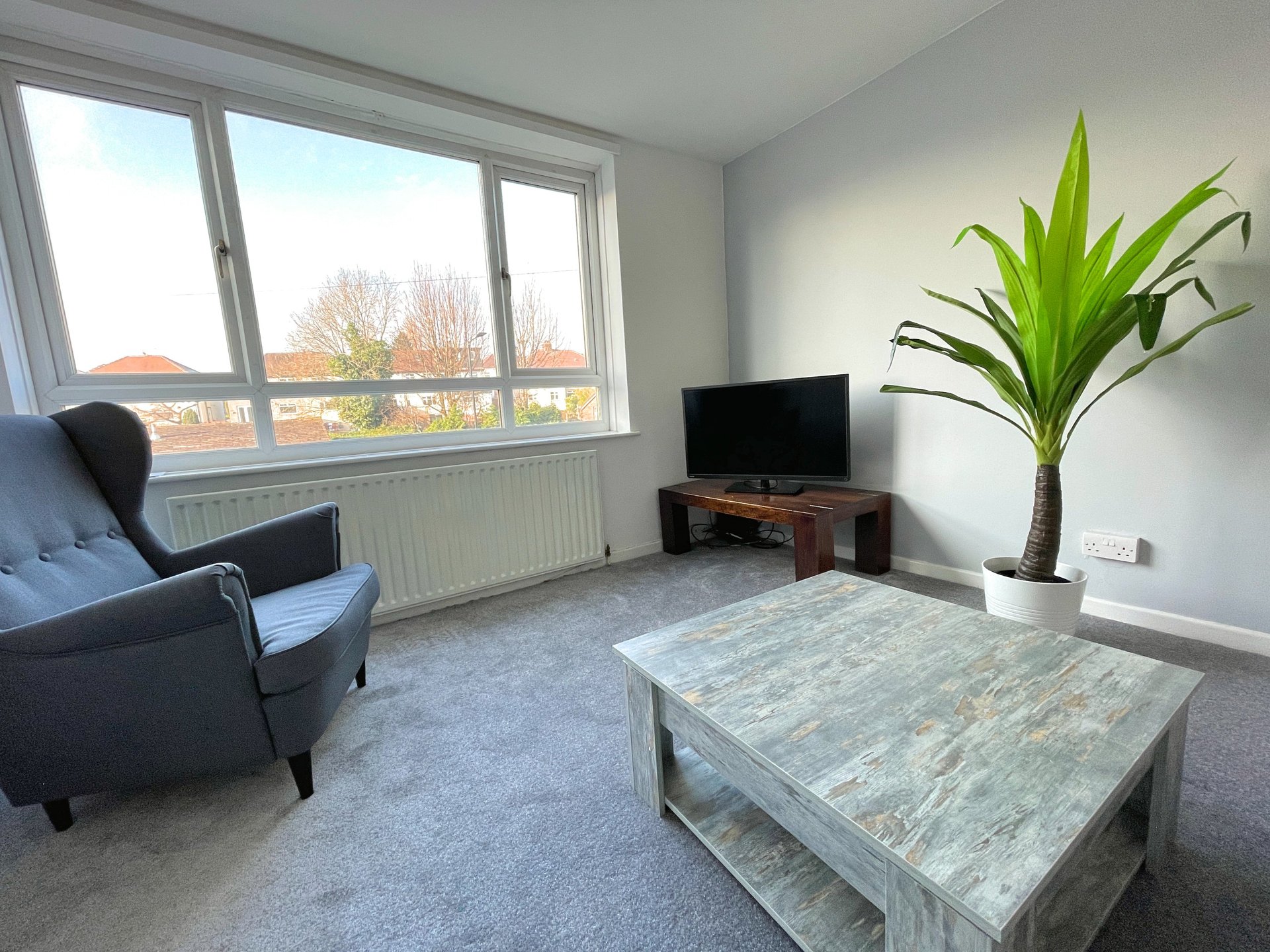 Living room with black armchair, TV on wooden stand, coffee table and potted plant by window