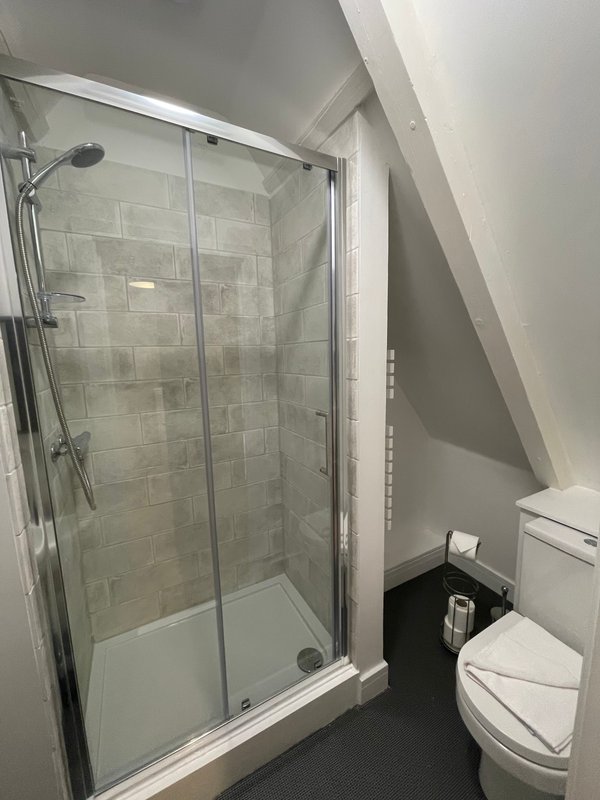 Modern bathroom with walk-in shower enclosure, toilet, and sloped ceiling