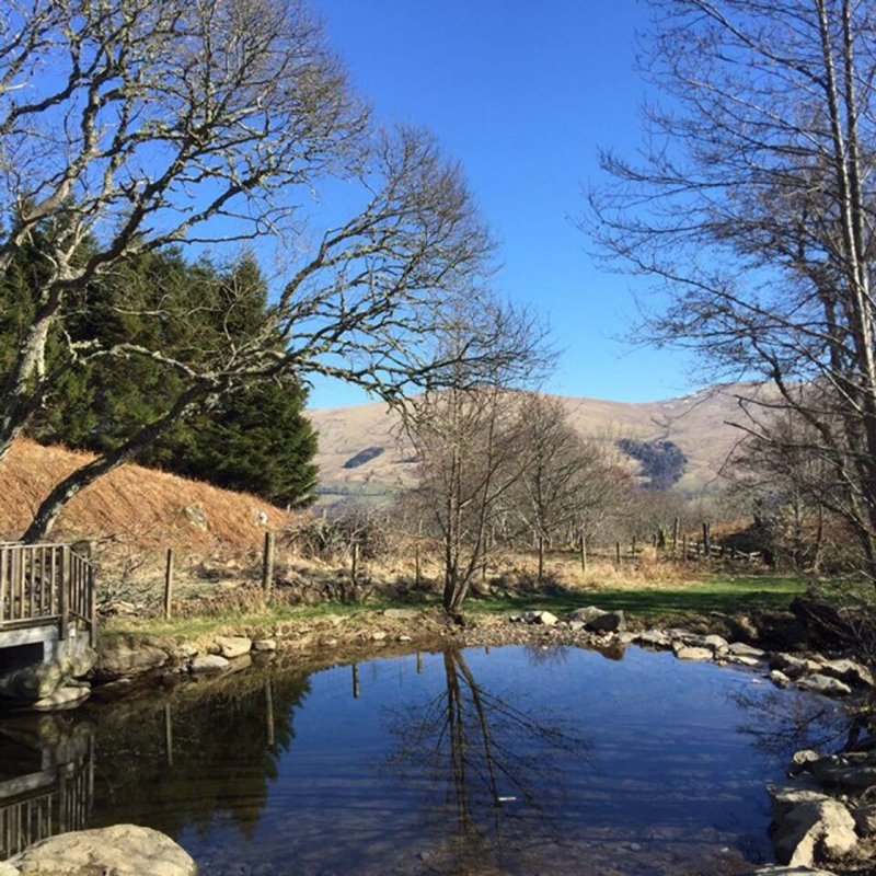 Rural property with pond, bare trees, mountains and wooden deck in background