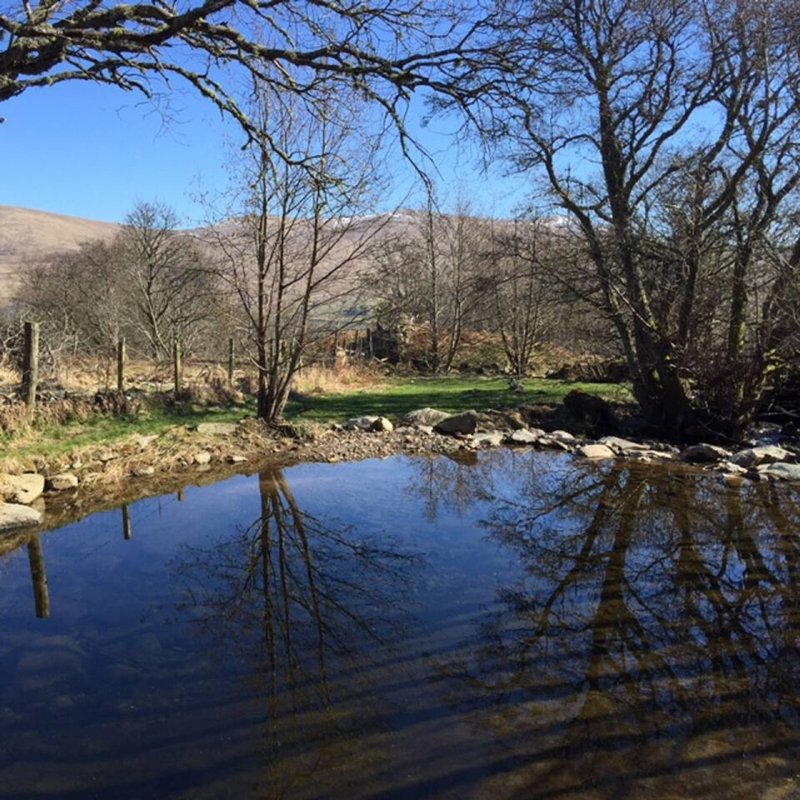 Rural property grounds with small pond, bare trees, and rolling hills in background