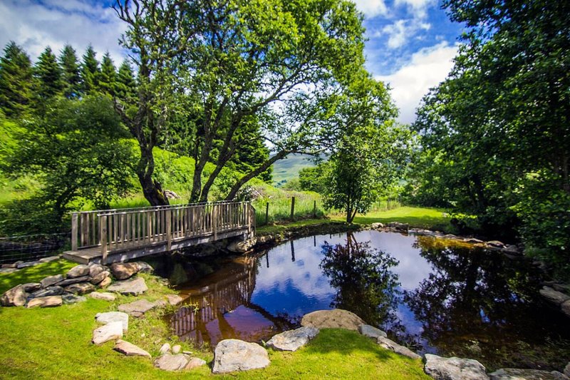 Wooden bridge over pond with lush green grounds and mature trees surrounding property
