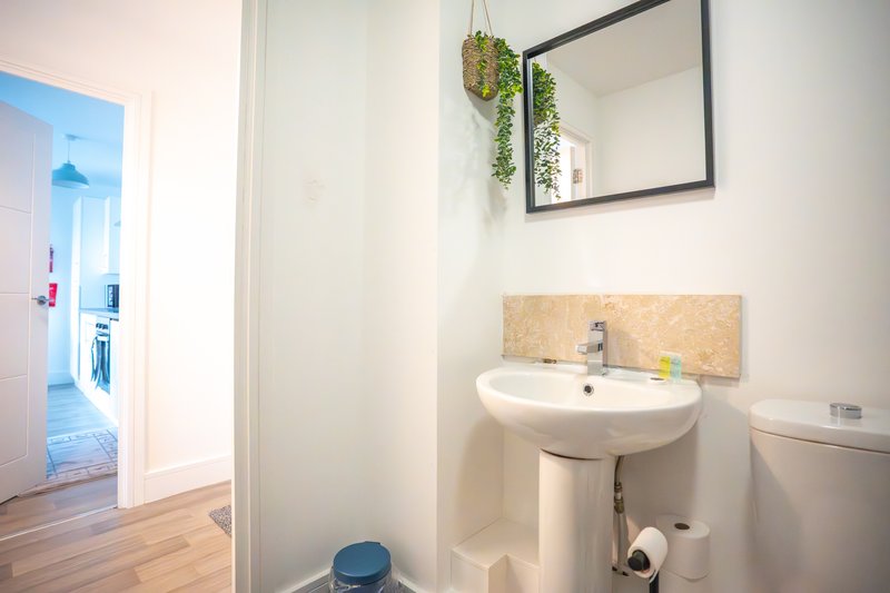 Small bathroom with pedestal sink, mirror, hanging plant and wooden flooring