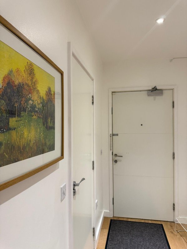 Hallway entrance with framed landscape artwork, white door, and dark floor mat