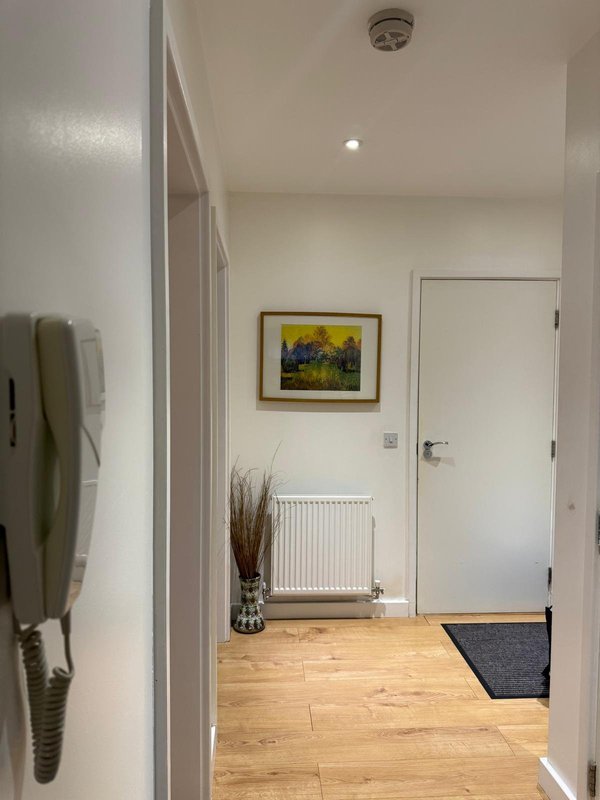 Bright hallway with wooden floor, white walls, radiator, framed artwork and potted plant