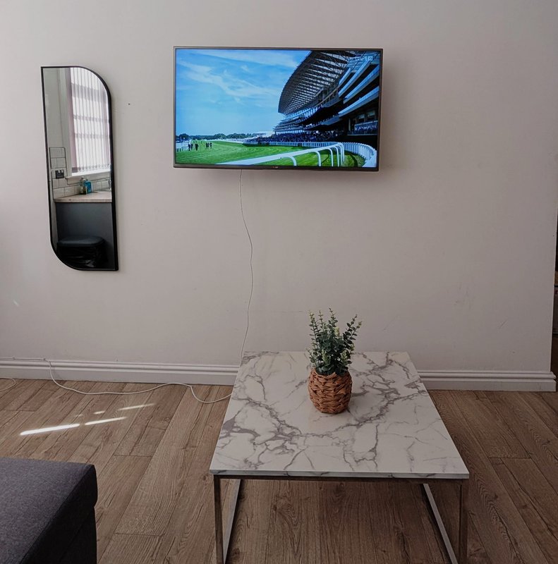 Living room with wall-mounted TV, mirror, wooden floor, and marble-top table with potted plant