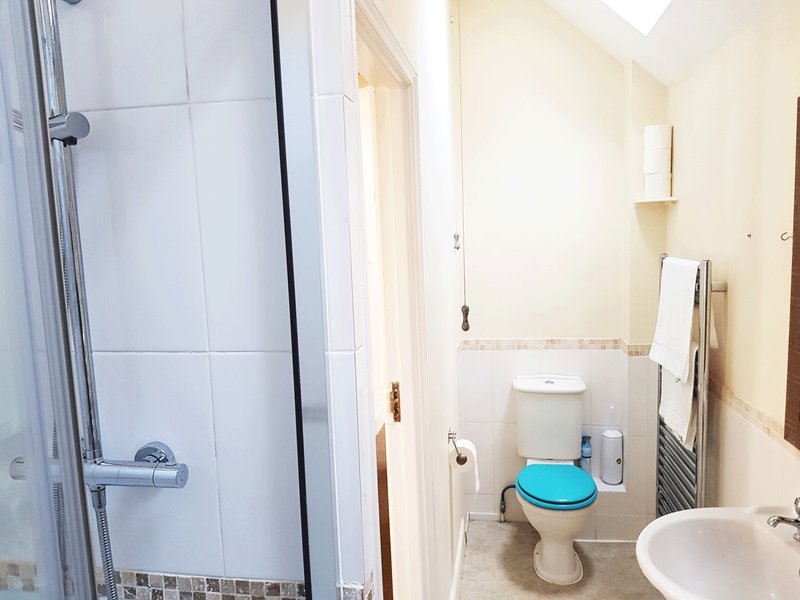 Bathroom with shower cubicle, toilet, sink, and towel rail