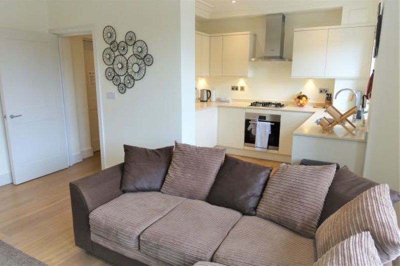 Open-plan living room with grey sofa, kitchen area, wooden flooring and wall clock