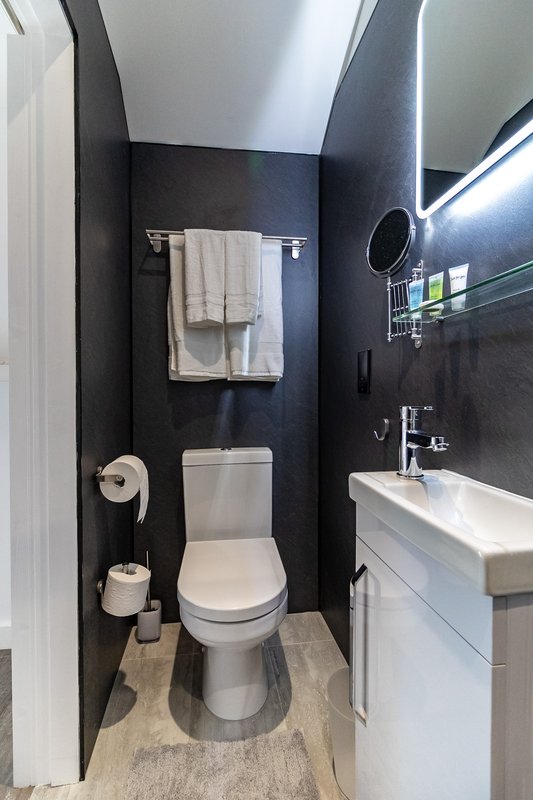 Modern bathroom with dark walls, white toilet, sink vanity and towel rail