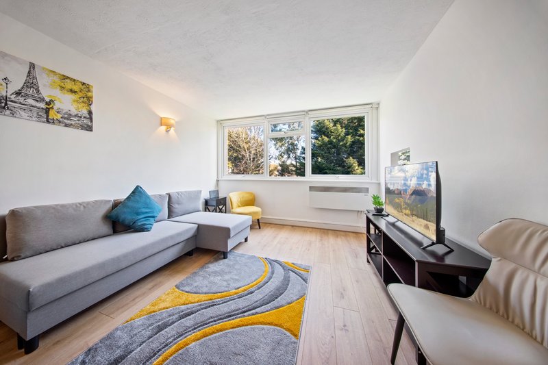 Modern living room with grey sofa, yellow and blue rug, TV unit, and large windows