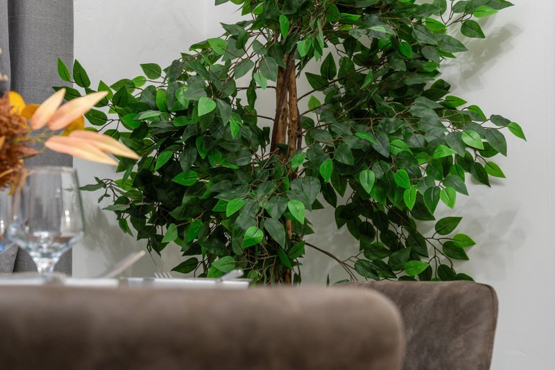 Living room detail with potted plant, sofa, glasses and flower arrangement