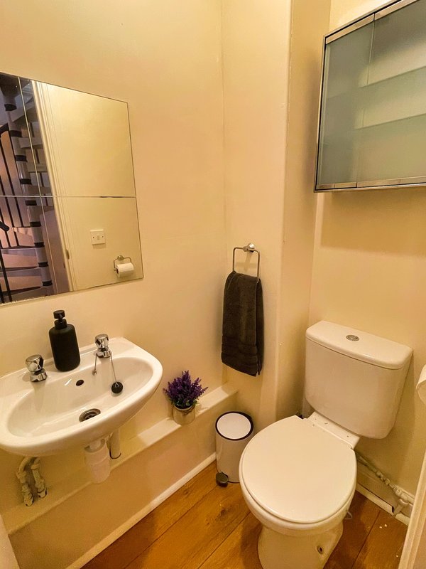 Bathroom with sink, mirror, toilet, towel rail and wooden floor