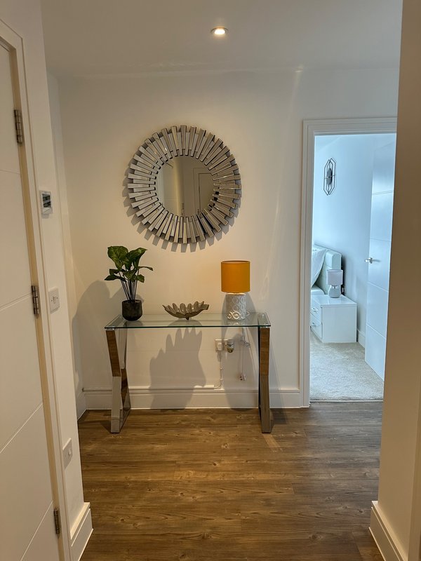 Hallway with decorative mirror, console table, potted plant and modern decor