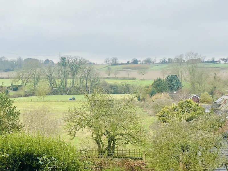 Rural countryside landscape view with green fields, scattered trees and distant farm buildings