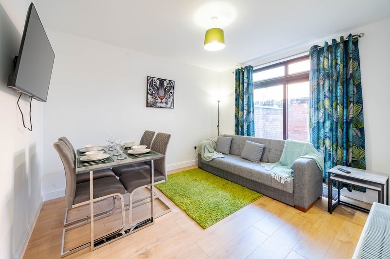Open-plan living room with sofa, dining table, TV, bright windows and green rug
