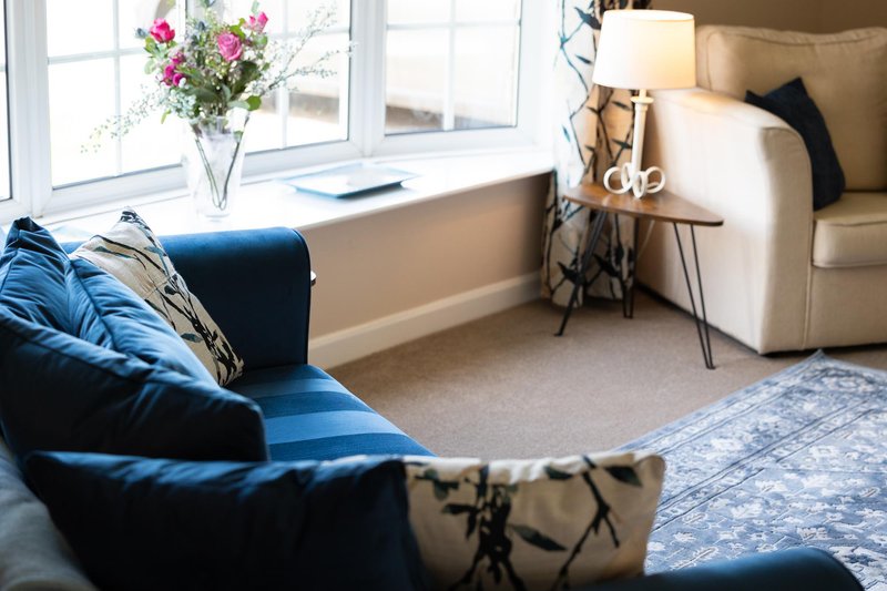 Bright living room with blue velvet sofa, cream armchair, windowsill flowers and patterned rug