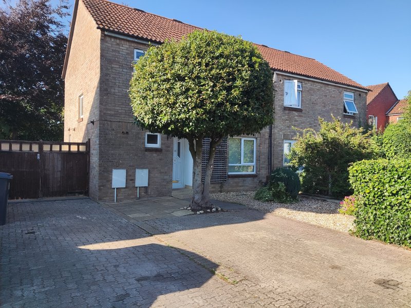 Brick house exterior with driveway, ivy-covered tree, and manicured front garden