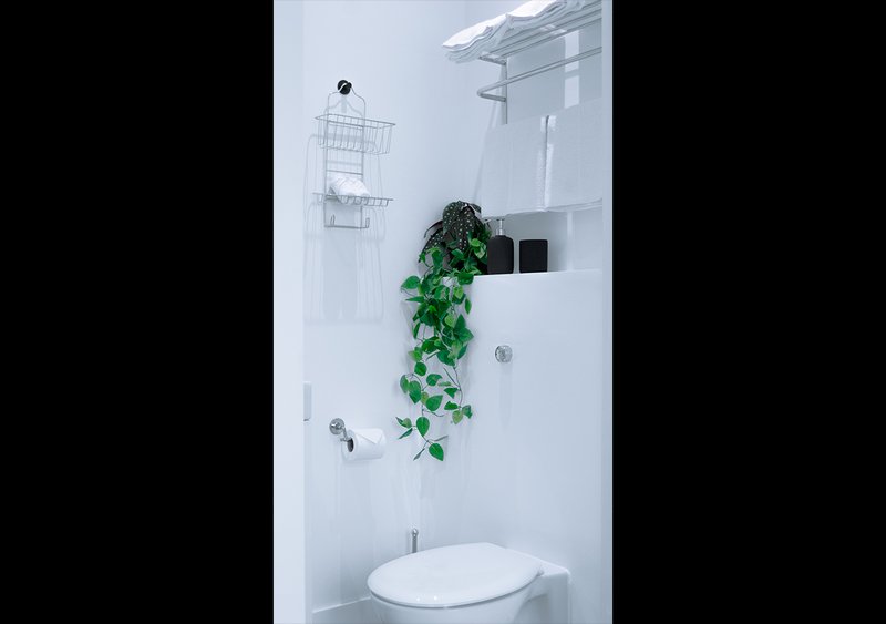 Modern bathroom with white toilet, trailing green plant decoration, and wall-mounted storage baskets