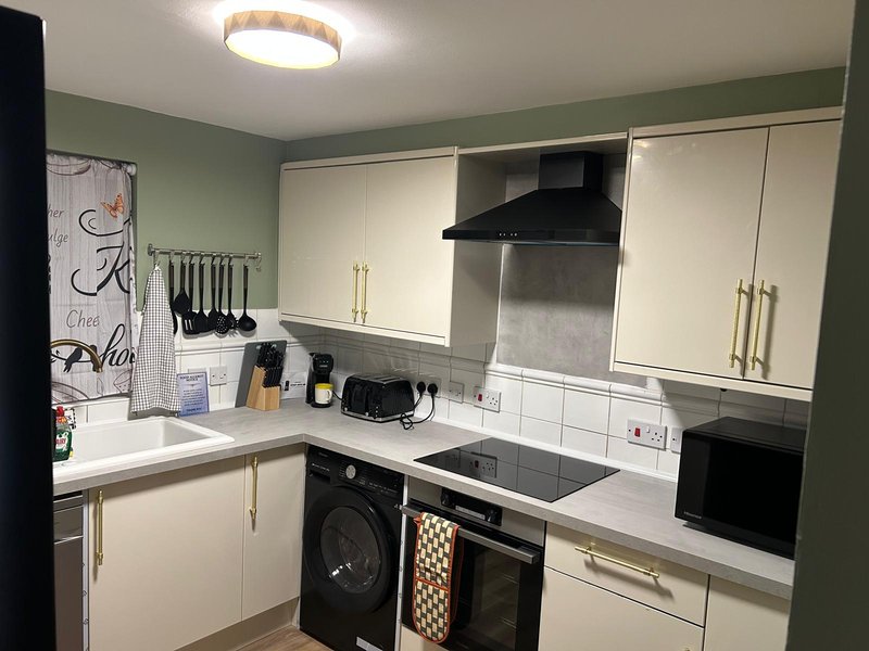 Modern kitchen with white cabinetry, green walls, black cooktop and range hood