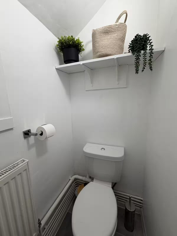 Clean bathroom with toilet, shelf holding plants and woven basket, white walls