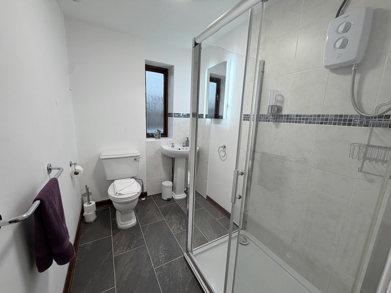 Modern bathroom with toilet, sink, mirror and walk-in shower enclosure
