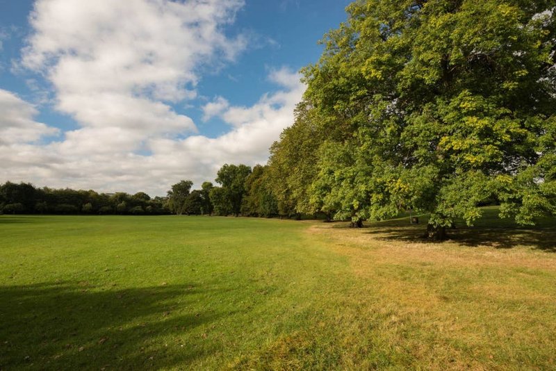 Open green field with tree line and blue sky with white clouds