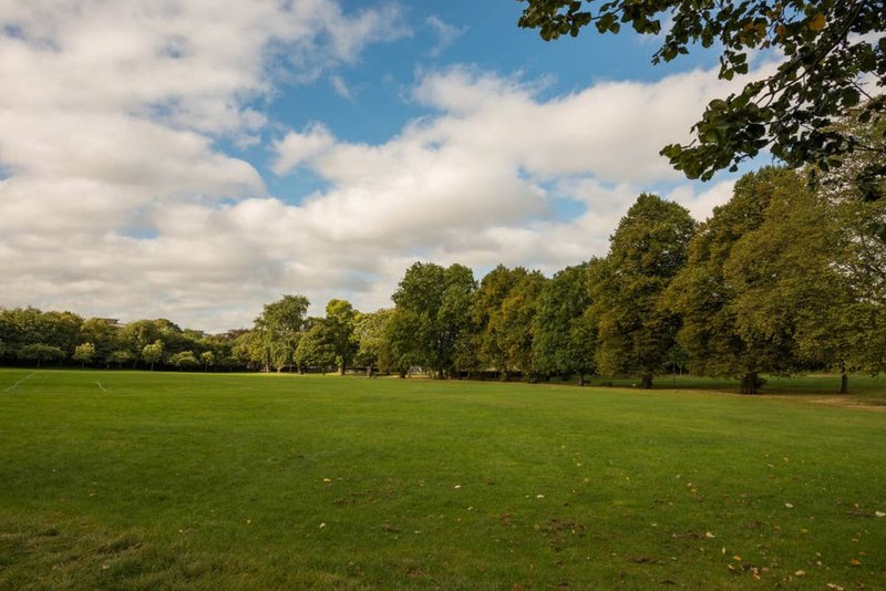 Large open green lawn with mature trees and blue sky with white clouds