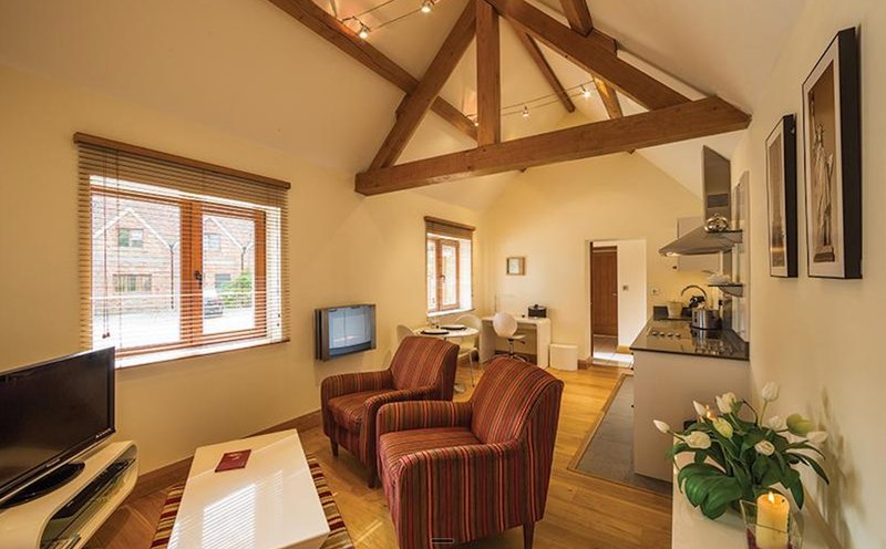 Open-plan living area with vaulted timber ceiling, striped armchairs, kitchen, and wooden flooring