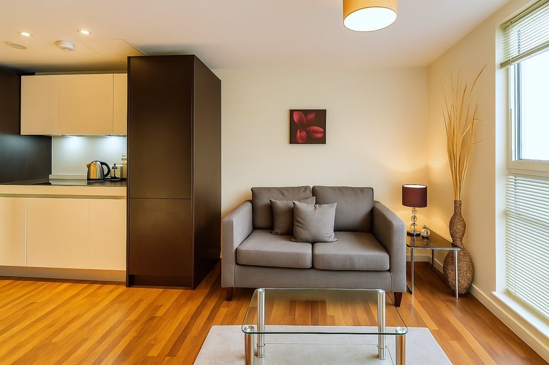 Modern studio apartment with kitchen, gray sofa, wooden floor and large window
