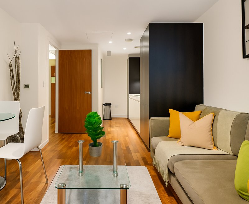 Modern open-plan living area with sofa, dining chairs, wooden flooring and potted plant
