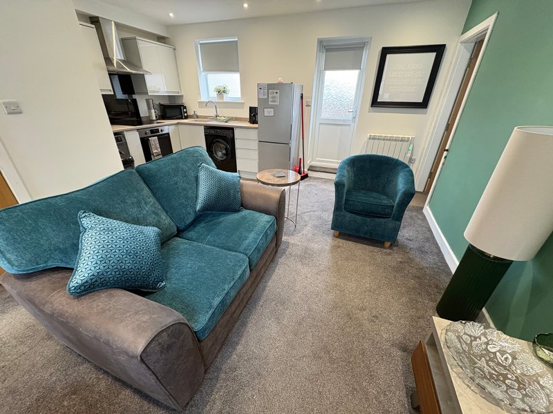 Open-plan living room with teal sofa, armchair, kitchenette, and storage shelving