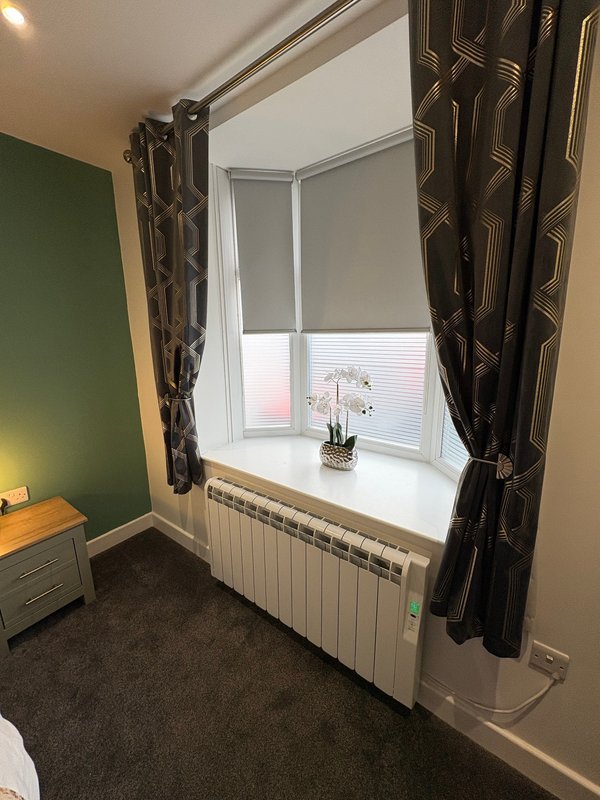 Bedroom window with dark patterned curtains, radiator, windowsill plant, and green accent wall