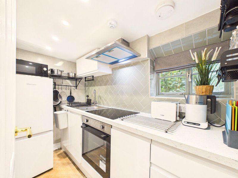 Modern white kitchen with built-in oven, induction hob, skylight, and potted plant on counter