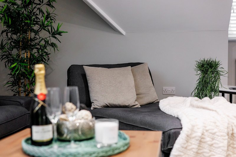 Modern living room with dark sofa, cushions, potted plants and champagne bottle on table