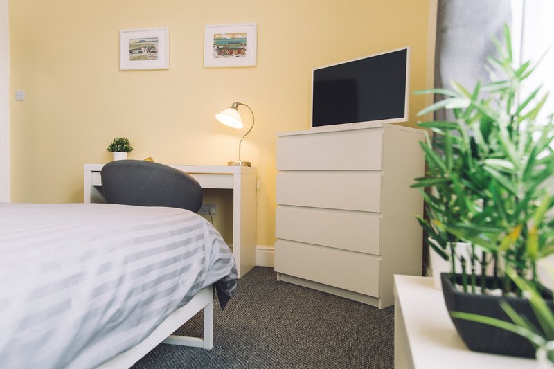 Bedroom with single bed, desk, dresser with TV, lamp and potted plant