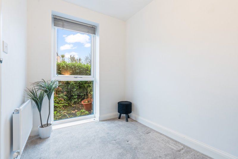Bright minimalist room with large window, potted plant, and grey carpet flooring