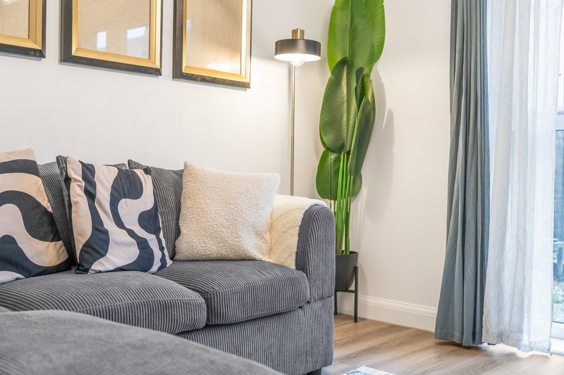 Modern living room with gray sofa, patterned cushions, tall green plant, and window with curtains