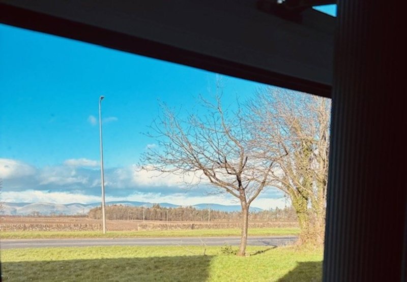 View from window showing bare tree, green field, street lamp and distant mountains