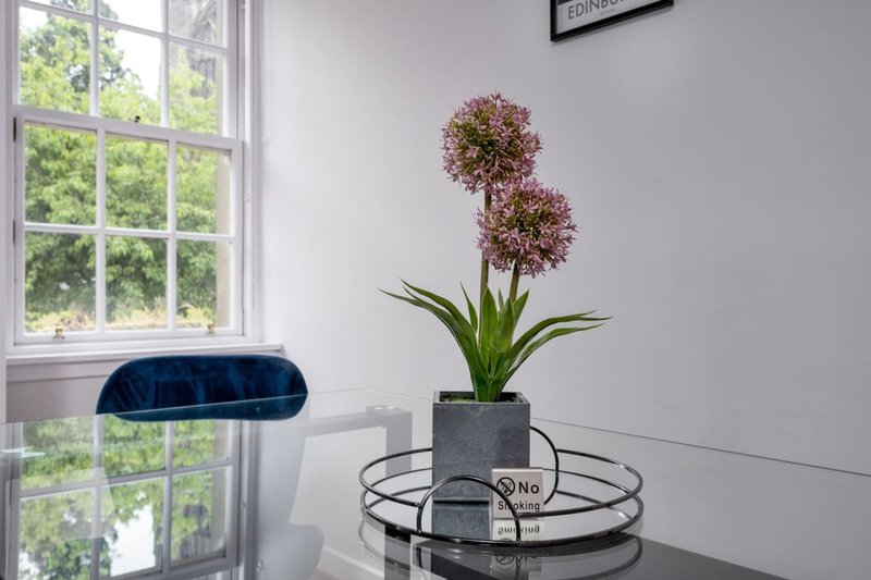 Modern dining table with potted flowering plant, blue chair, and window with garden view