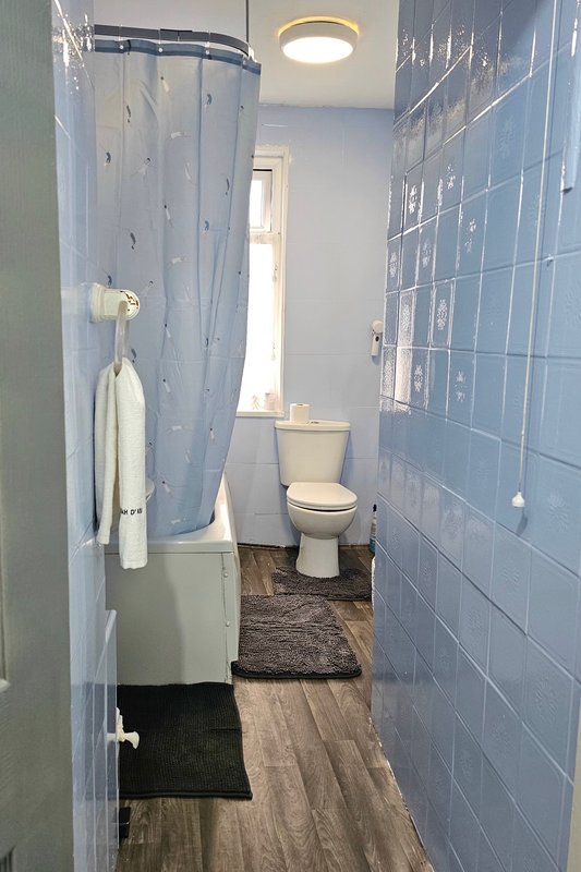 Bathroom with toilet, shower cubicle, blue tile walls and wooden flooring